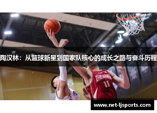 陶汉林：从篮球新星到国家队核心的成长之路与奋斗历程